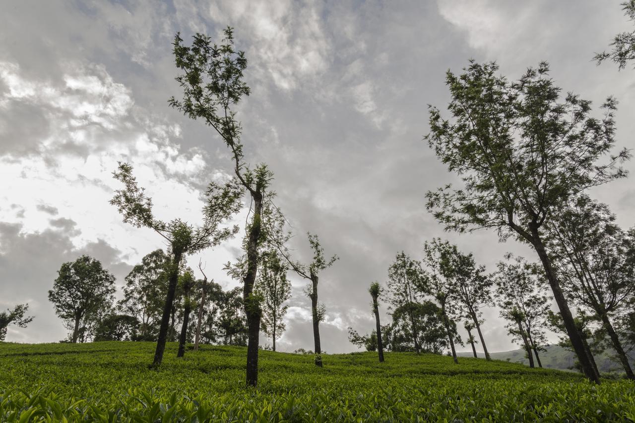 Mount Valley Resort - A Secluded Getaway Munnar Exteriör bild