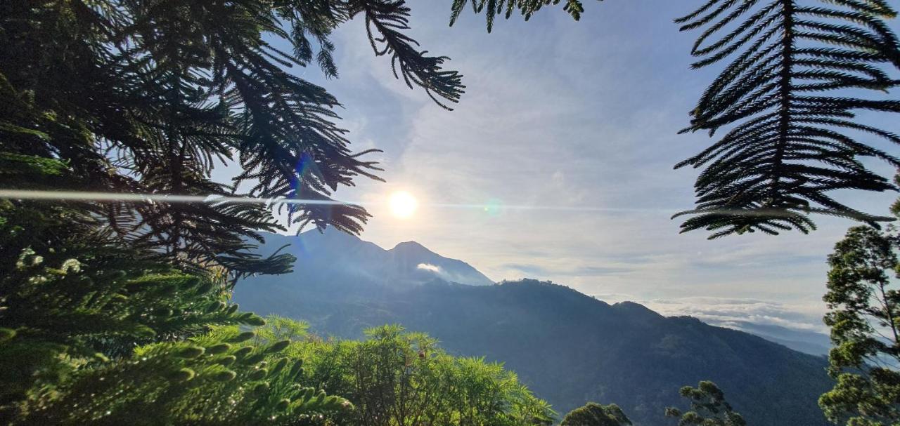 Mount Valley Resort - A Secluded Getaway Munnar Exteriör bild